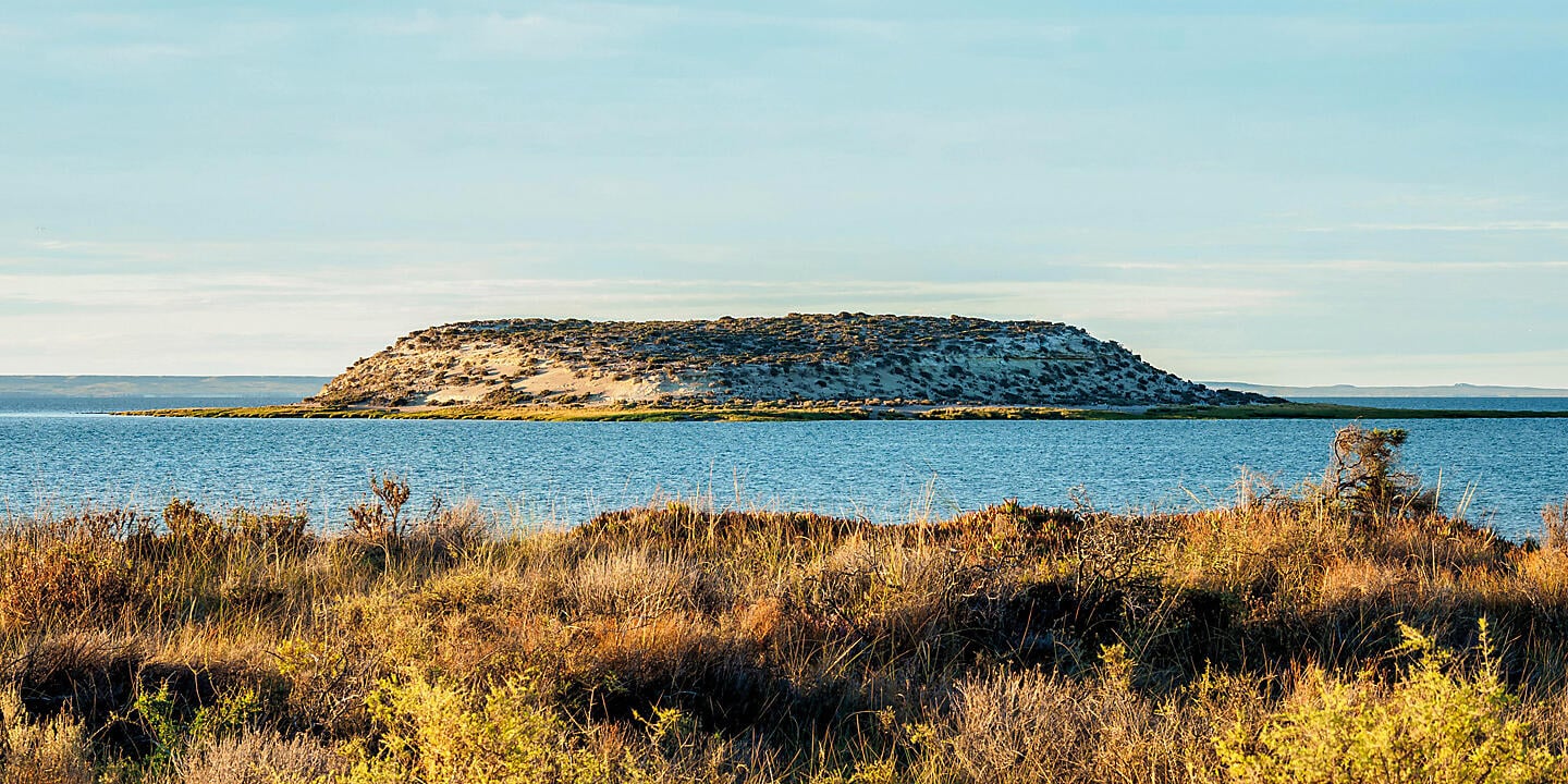 Falklands, South Georgia & Valdes Peninsula: in the Heart of the Wilderness