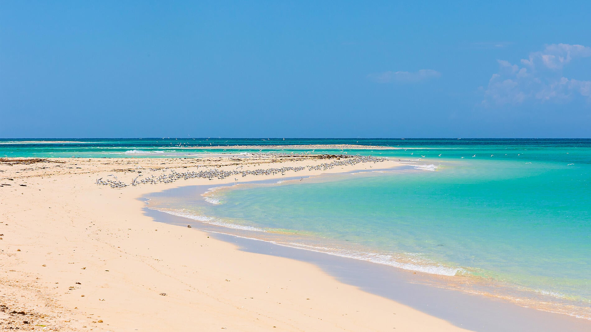 Jewels of Madagascar