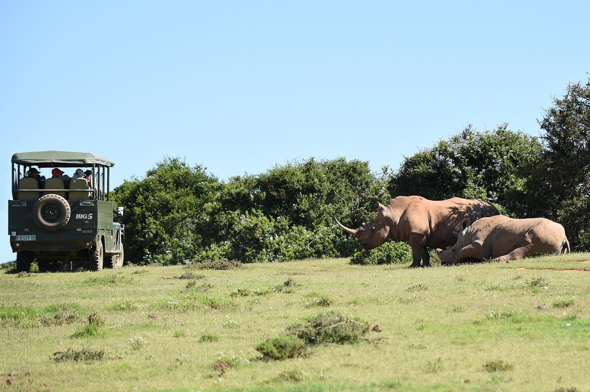 South Africa and Namibia by Sea: Around the Cape of Good Hope - with Smithsonian Journeys