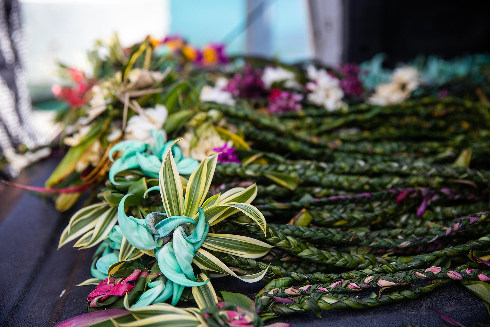 Secret Polynesia: Unexplored Tuamotu, the Gambier Islands and the Austral Islands